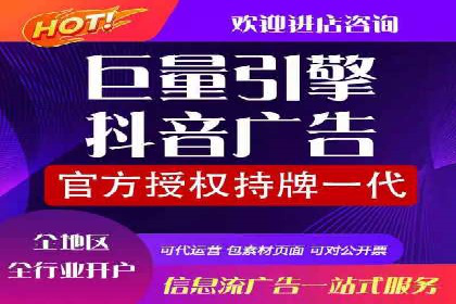 SEM服务案例：助力企业拓展海外市场